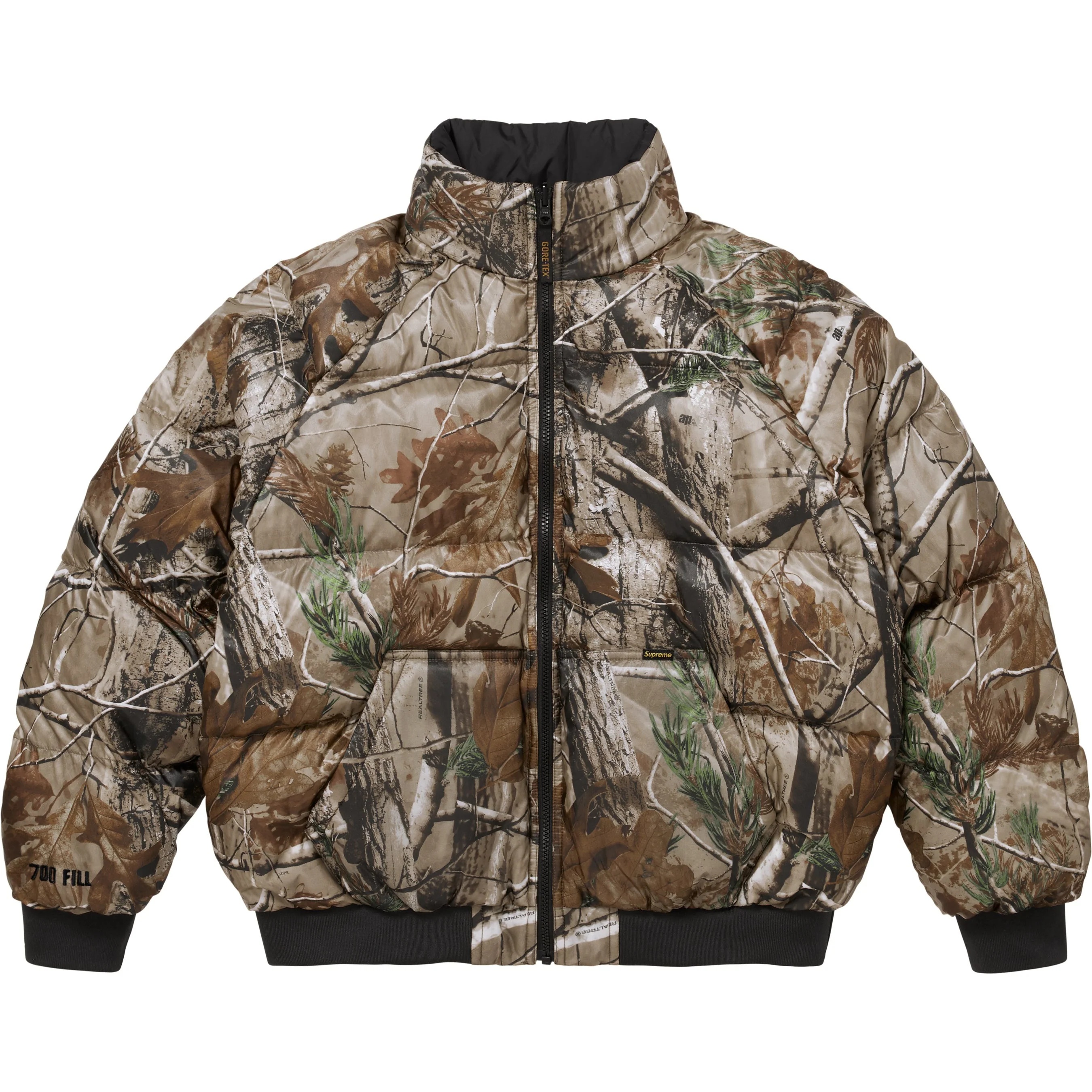 2-in-1 GORE-TEX Parka + Reversible 700-Fill Down Liner Jacket view 30